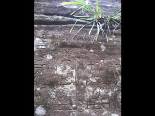 mysterieux hieroglyphes en australie