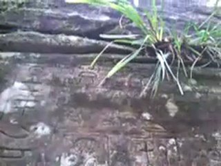 mysterieux hieroglyphes en australie2