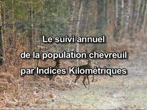 Comptages chevreuils dans le département de la Loire