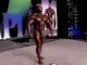 Road to the 2010 Mr Olympia - Jay Cutler