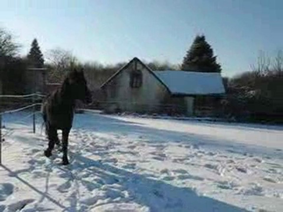 TINA DANS LA NEIGE