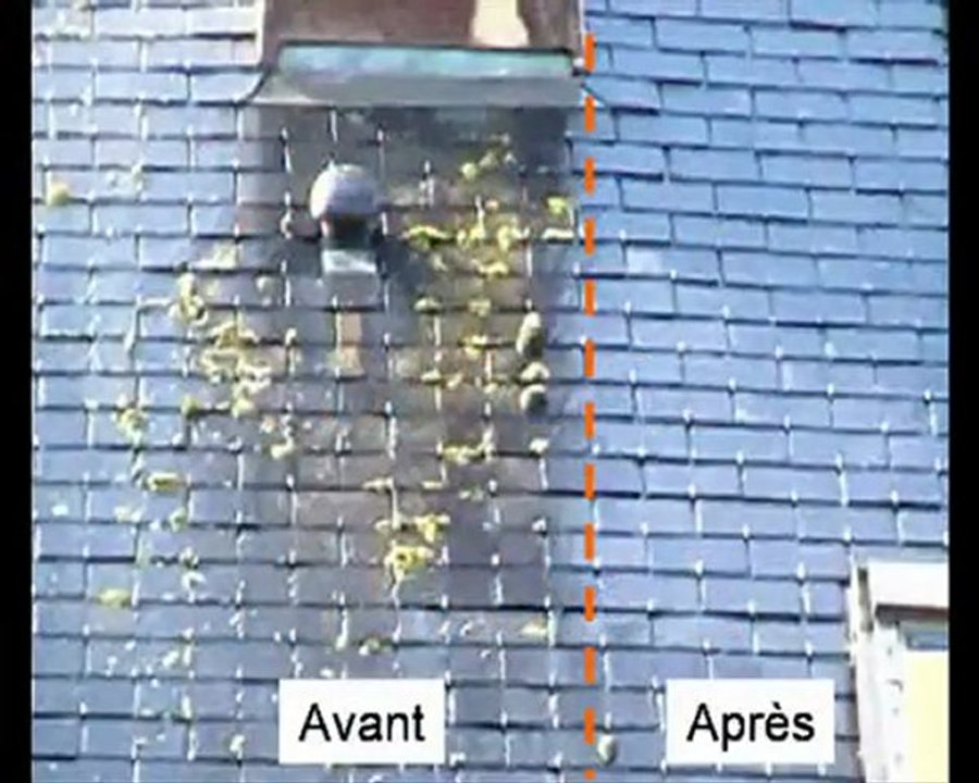 nettoyage vapeur des extérieurs sans produit chimique