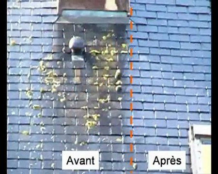 nettoyage vapeur des extérieurs sans produit chimique