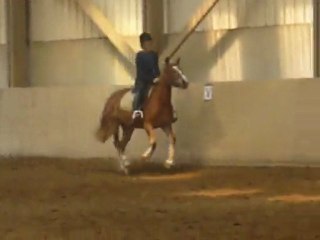 Silteplait & Moi ; Galop 4