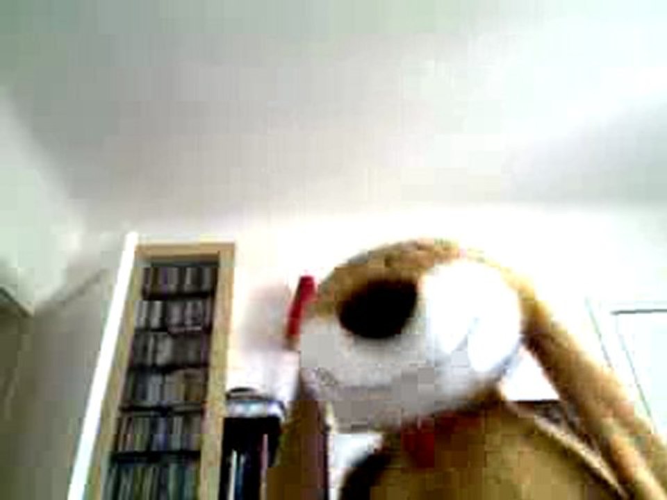 Wiwi muppetshowise "Bullitt"