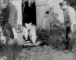 Noël 1939, des images exclusives de l’armée française.