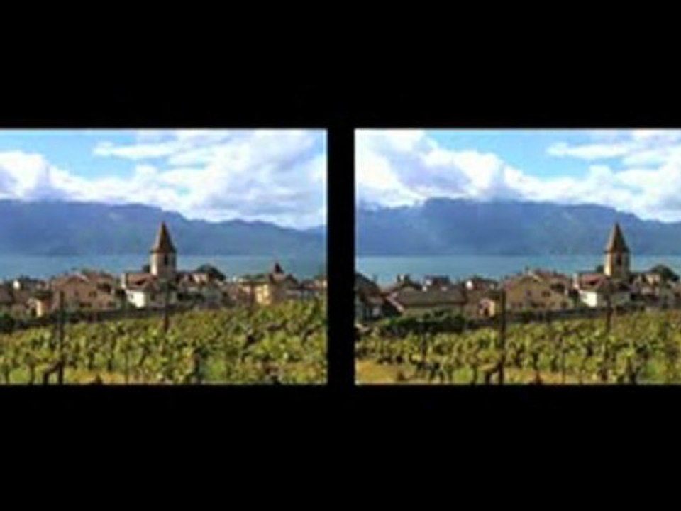 Lavaux Patrimoine de l'Humanité - Vaud - Suisse