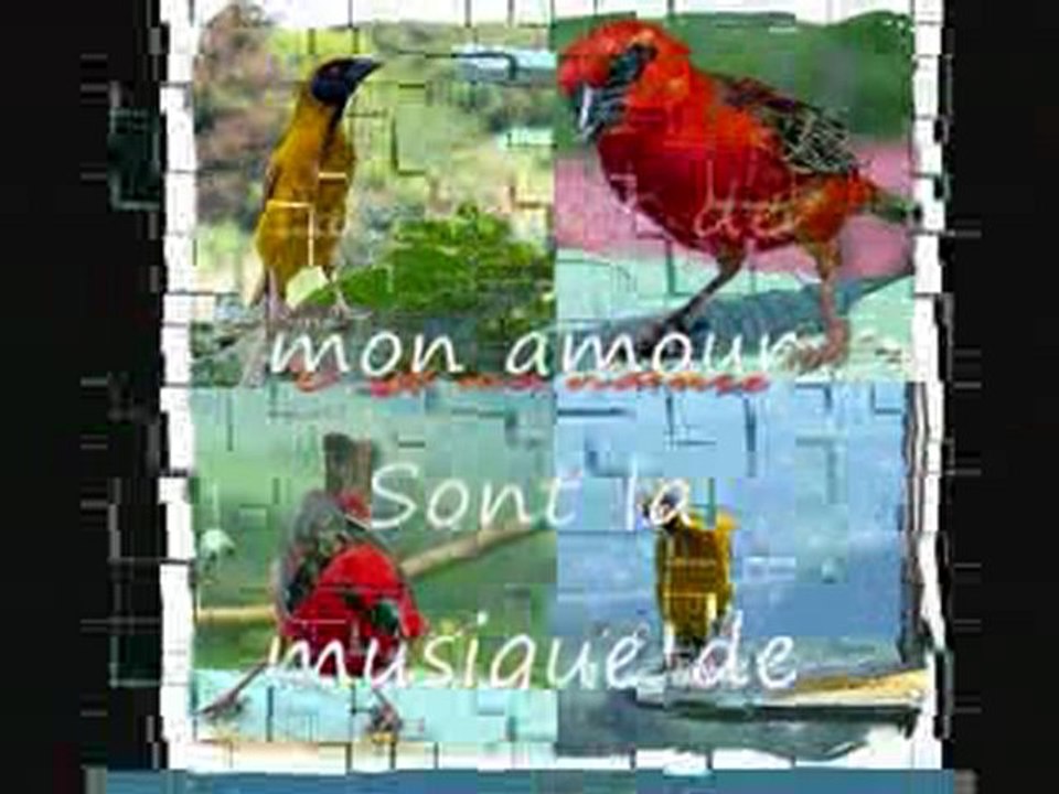 Les mots d'amour du p'tit crayon des iles