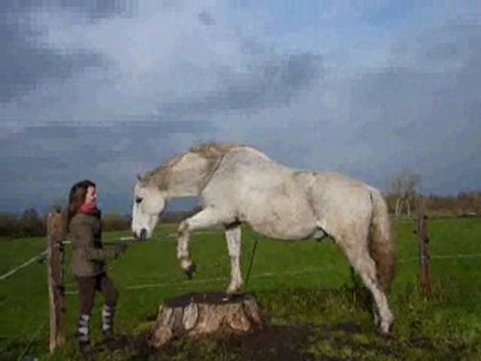 iloon décembre 2009 ♥