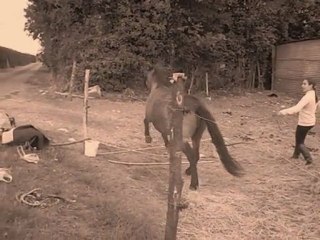 Pouliche tu me menque.