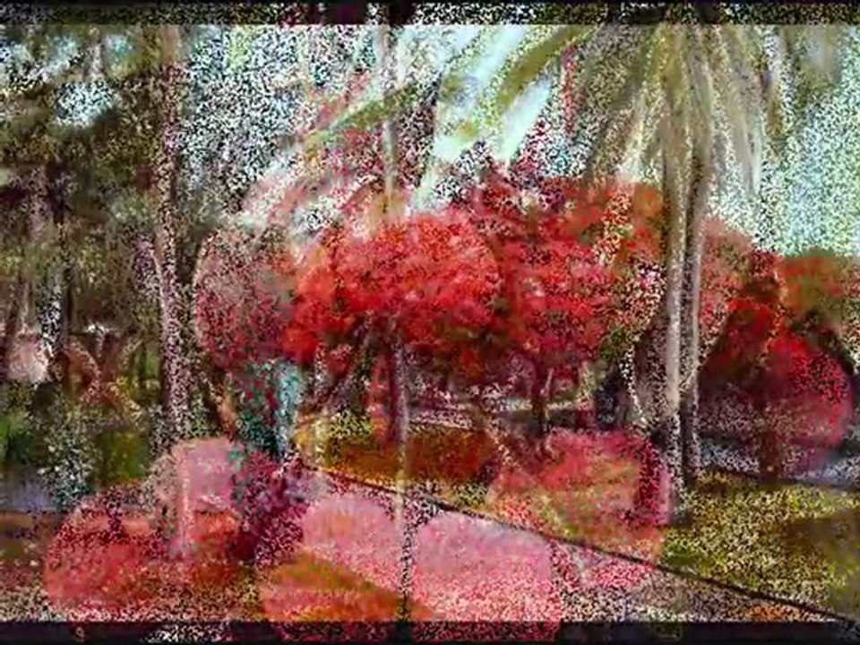 La musique de mon ile mes fleurs et ma nature que j'aime