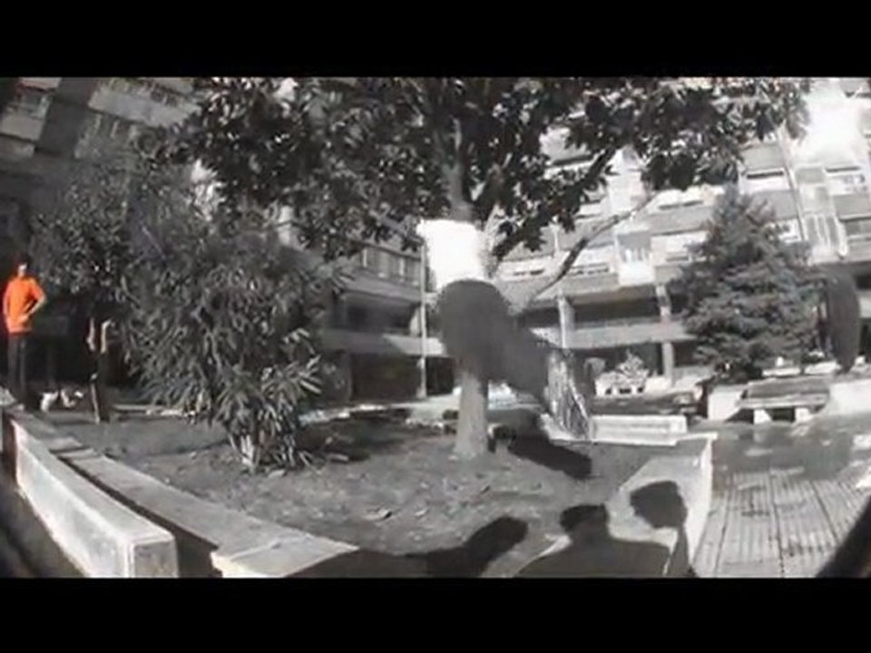 Hardas |End 2009|
