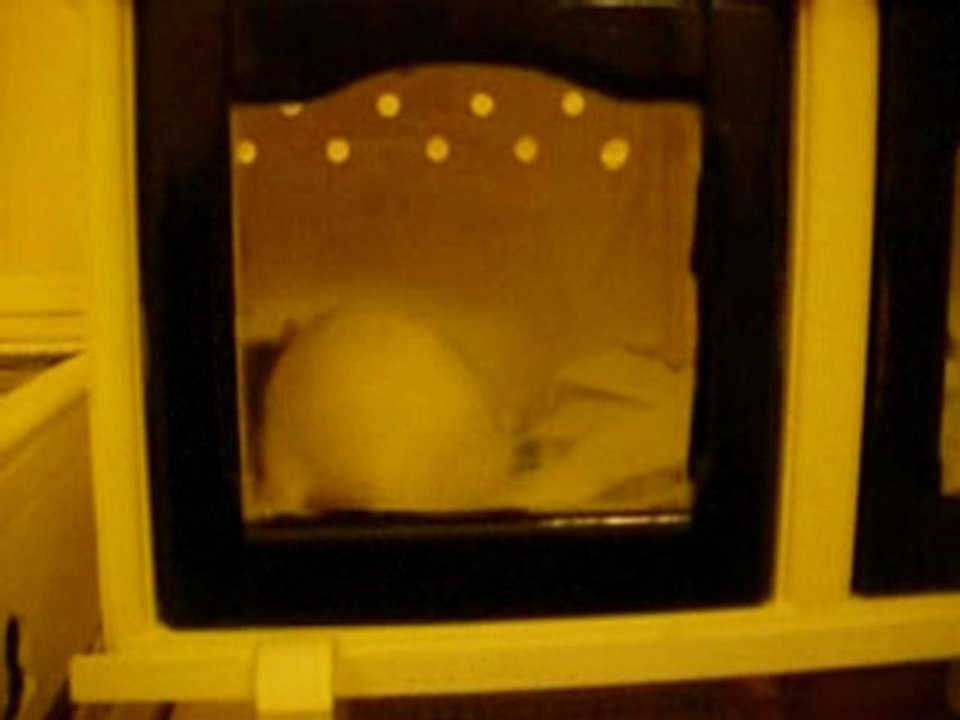 NAC 006