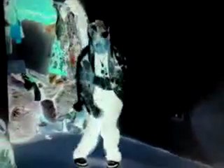 GR SELECTA 974 EN MODE DANCE KRUMP