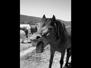 Mes confidences, que du bonheur auprès de vous! 😊