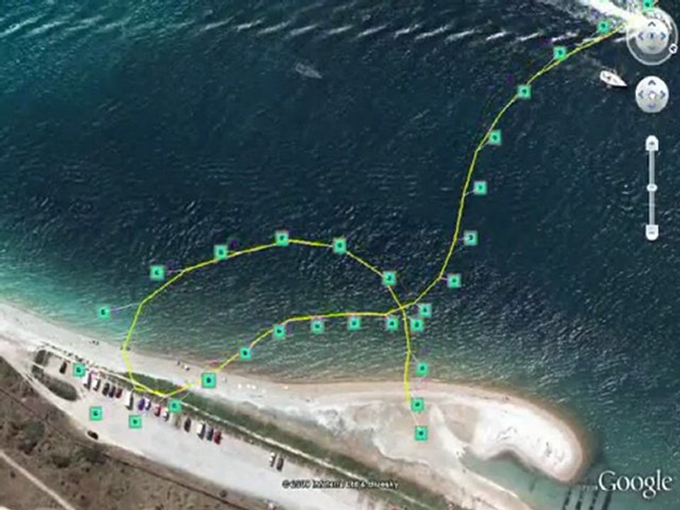 Brieftauben über Wasser-Studie