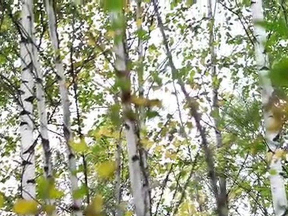The Cherry River Marsh in Ville de Magog - Québec, Canada