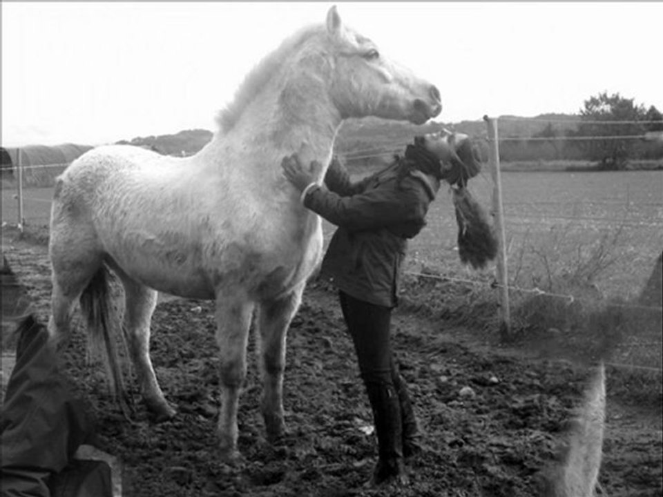 vacance de noël 2009 dans le sud