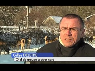 Accident dans l'Aube: Sauvetage de 18 chiens