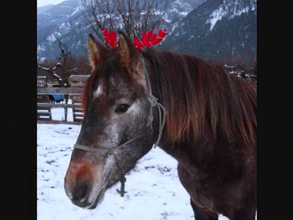 Neiiige Noël