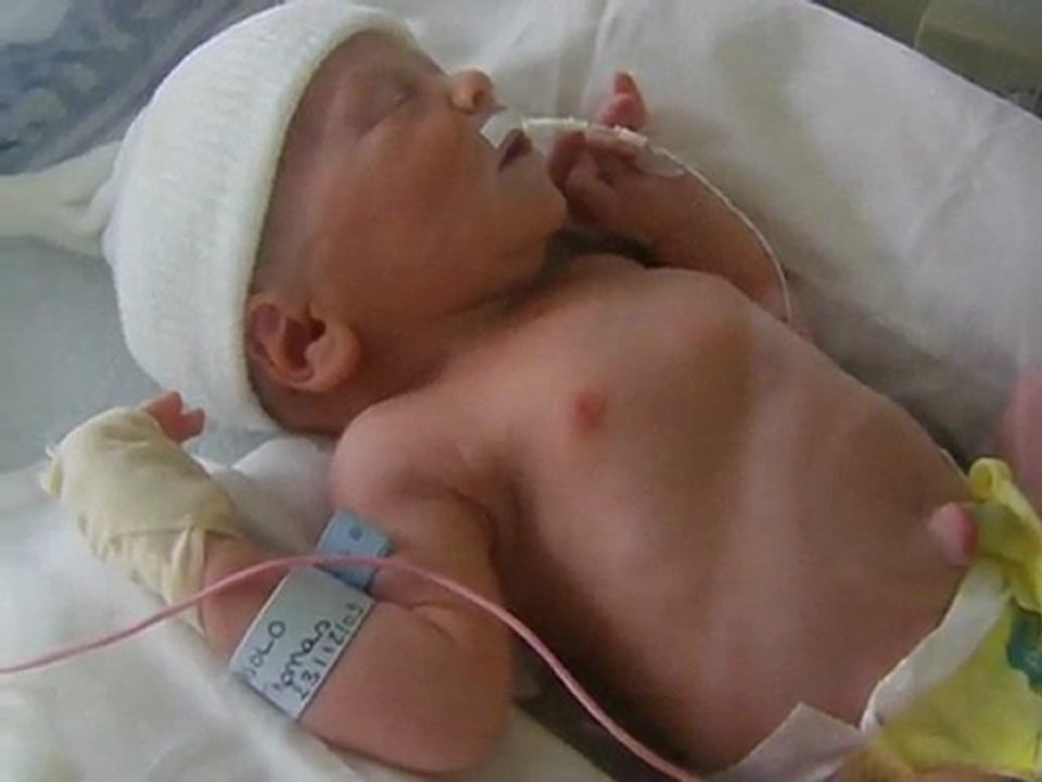 mon petit toto 3