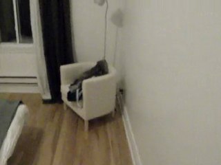 la visite de l'appart en vidéo c'est quand même plus parlant