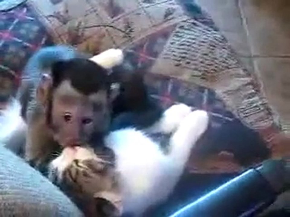 L'Amour Improbable 2