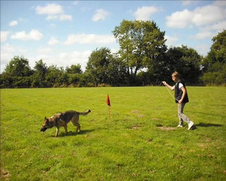 Présentation du Bouguenais Sport Canin