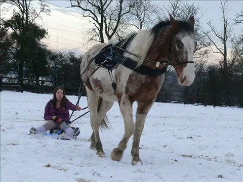 snow joering à pringy le 20 dec 09