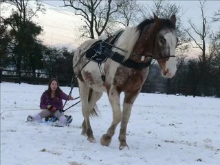 snow joering à pringy le 20 dec 09