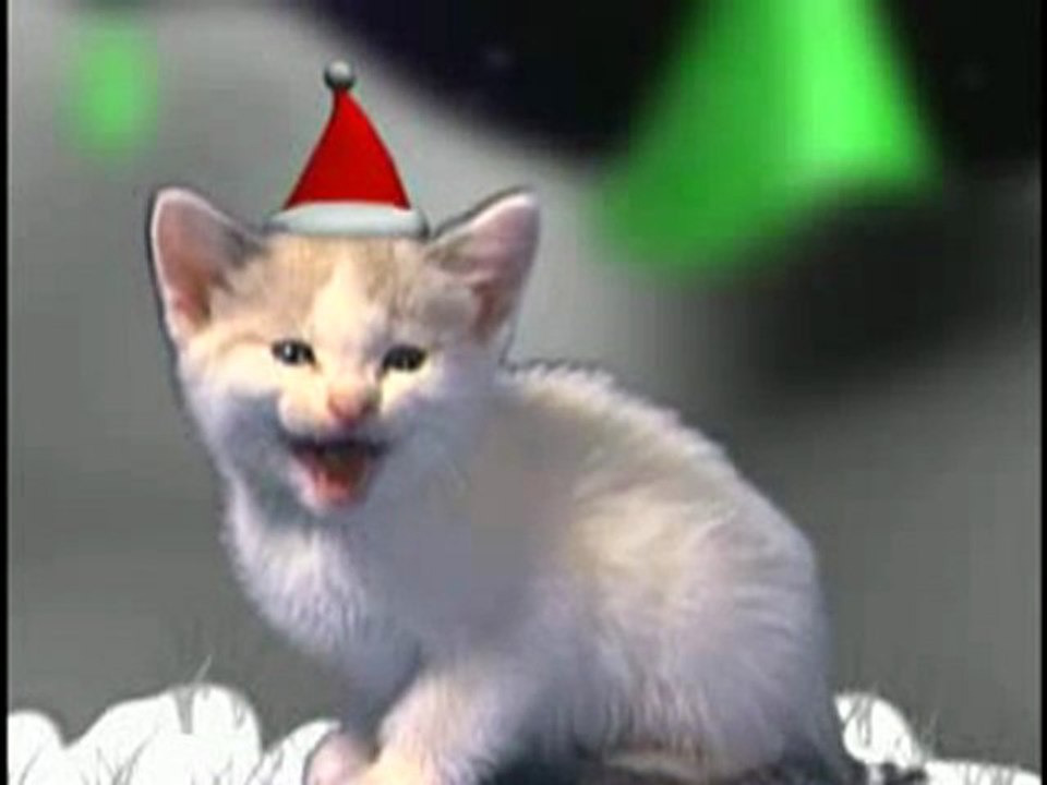 Christmas_cats.mpg