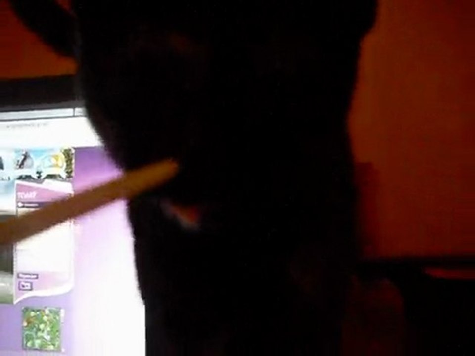 Winnie n'aime pas les pailles lol