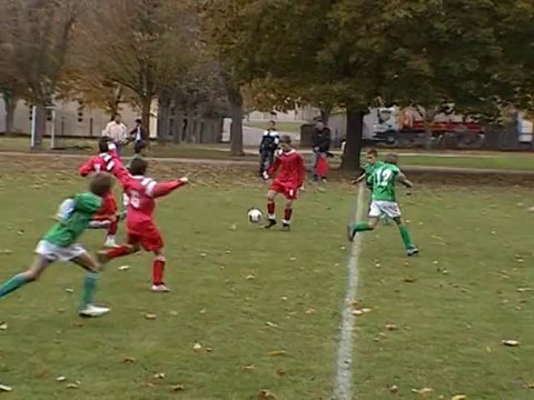 Benjamins de l'ASVA 2007-2008