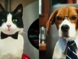 Cats amp Dogs The Revenge of Kitty Galore Full Trailer HD