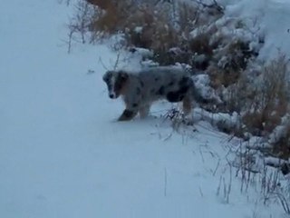 Eden a la neige