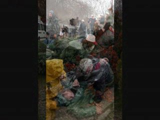 Tekel iscisine Biber gazi