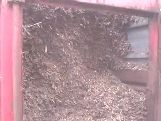 Bois déchiqueté par soufleur