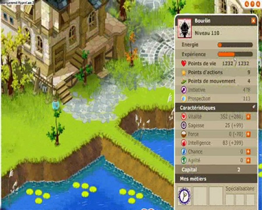 Bouriin iop feu lvl 110 silouate