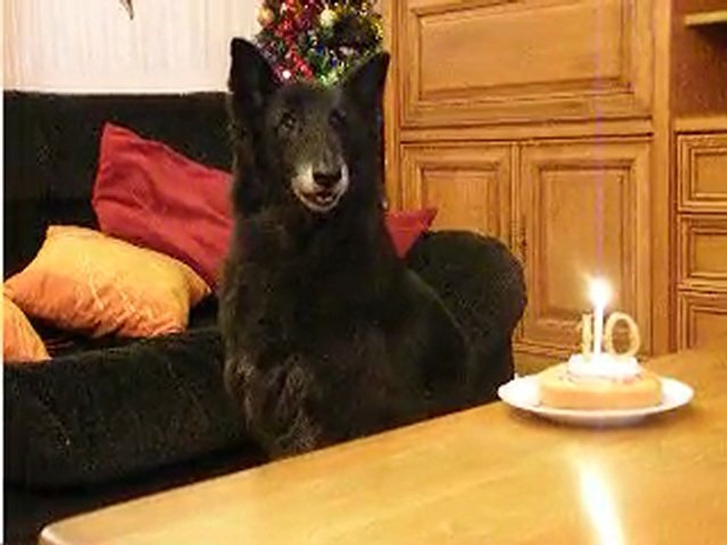 Joyeux Anniversaire Mon Pacha Video Dailymotion