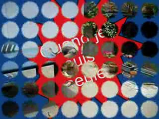 Berger Allemand T'wolfa