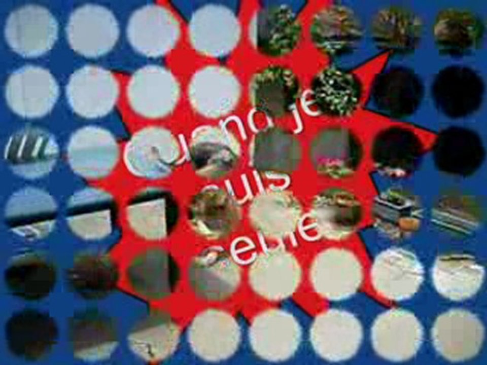 Berger Allemand T'wolfa