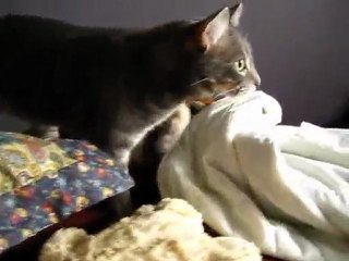 Christmas Eve Snowtime