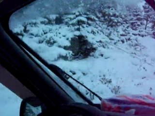 Resim 2171DENEME  YAYLA SEFERİ 2009