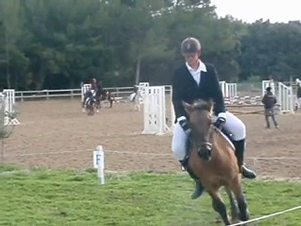 mon dressage 1