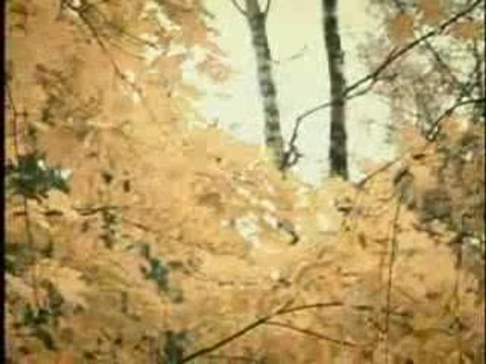 FlytotheSky - Gravity PV
