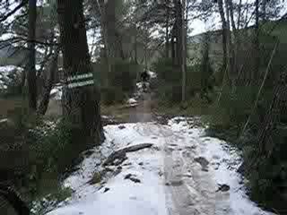 freeride sous la neige