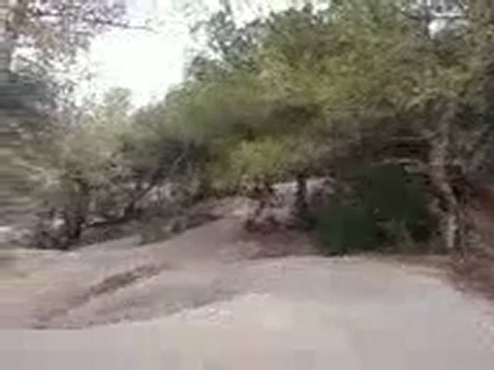 Jump junior