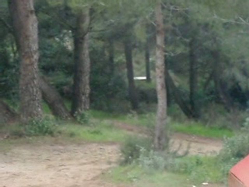 début cross