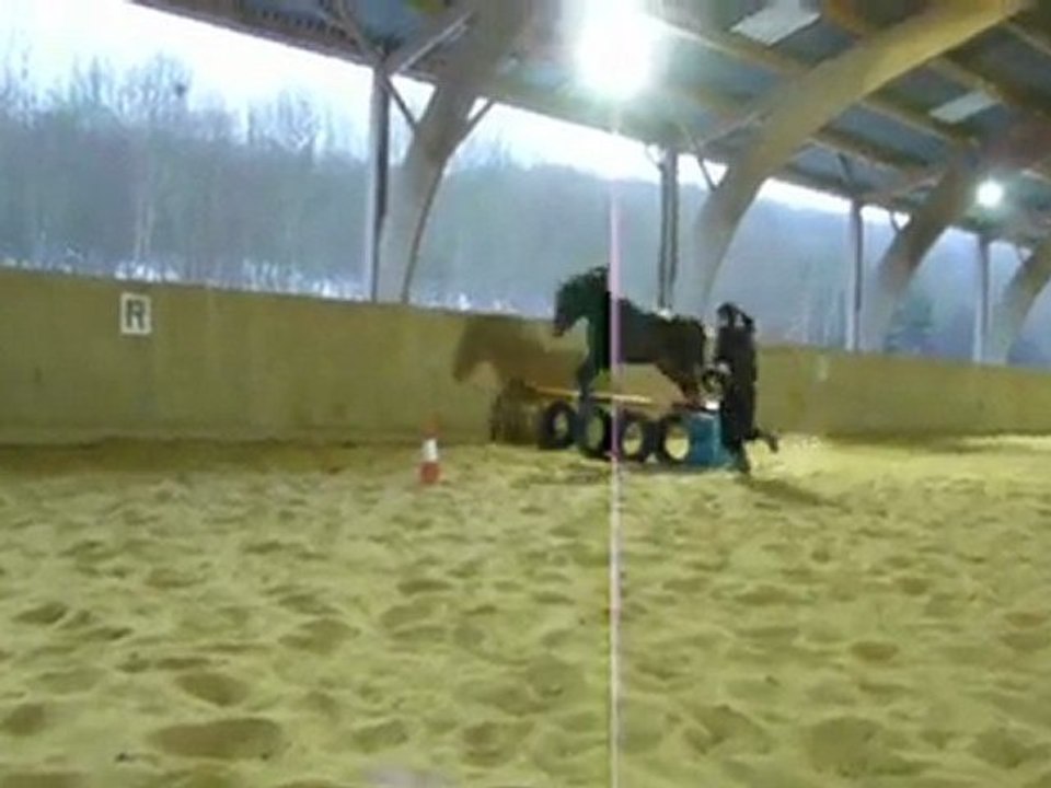 Saut des pneus en lib'