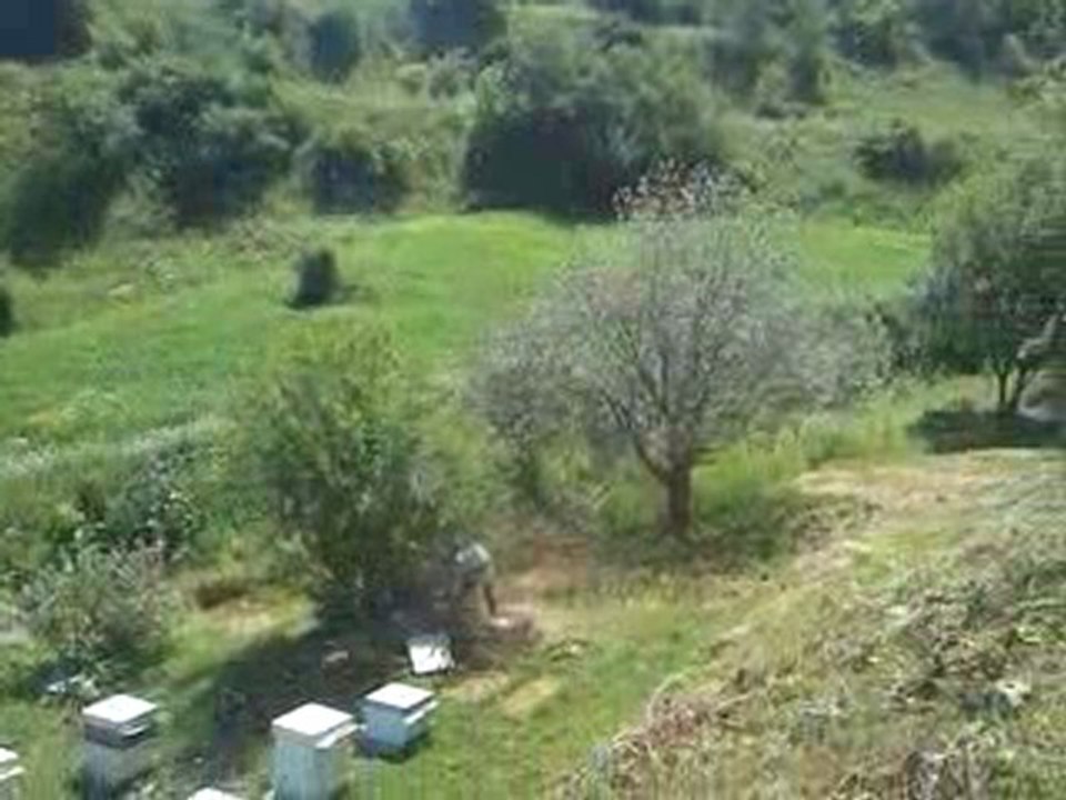 Oğul Alımı-2